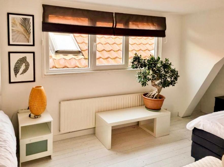 Oud-Beijerland Appartement B&B Pandhouse מראה חיצוני תמונה