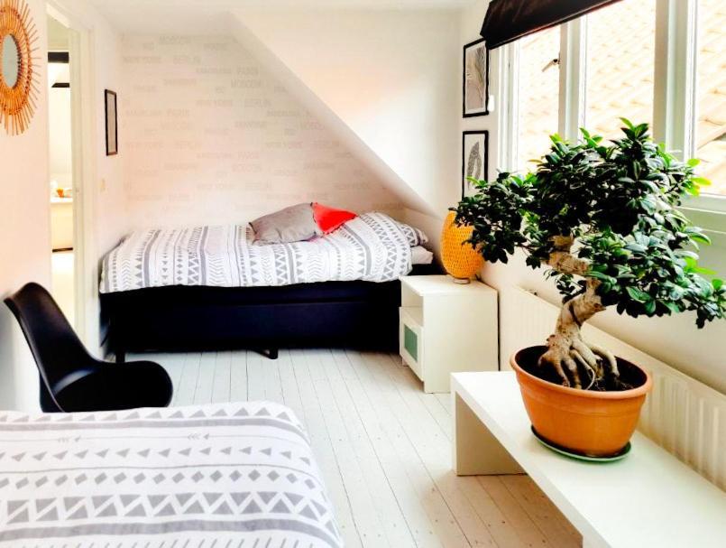 Oud-Beijerland Appartement B&B Pandhouse מראה חיצוני תמונה